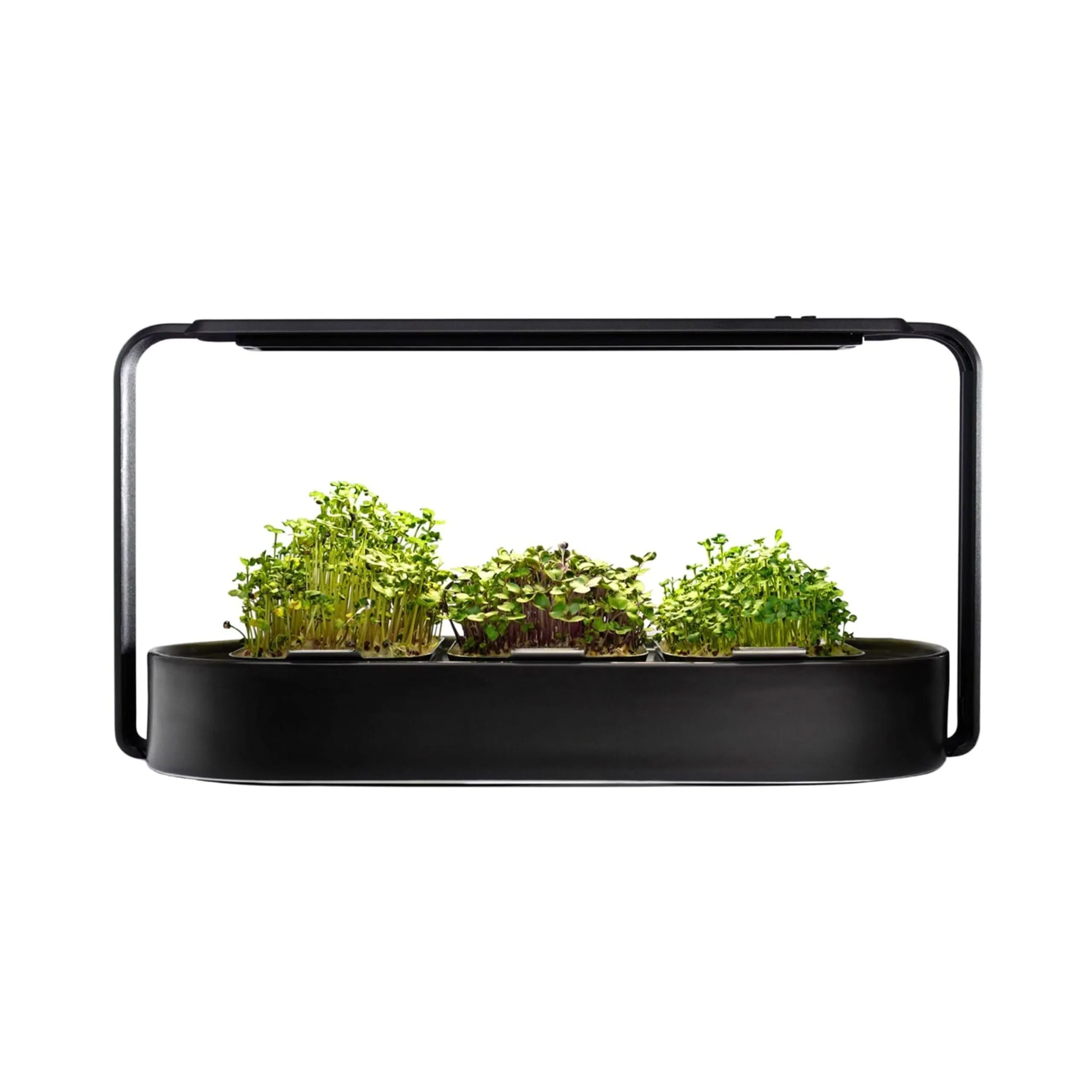Black Organic Sprouting Seed Pads LED Grow Lights Hydroponic Watering System Microgreens Growing Kit