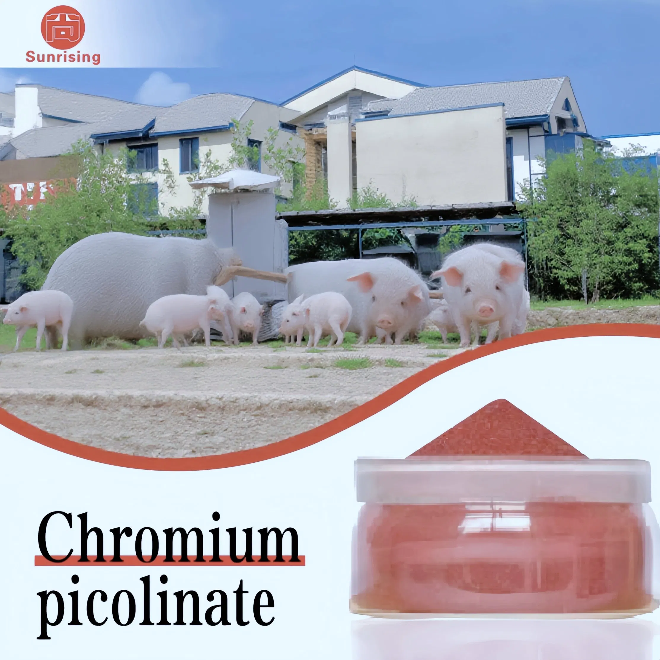 Chromium Picolinate Powder14639-25-9 Feed Additives Animal Glucose Metabolism Optimization