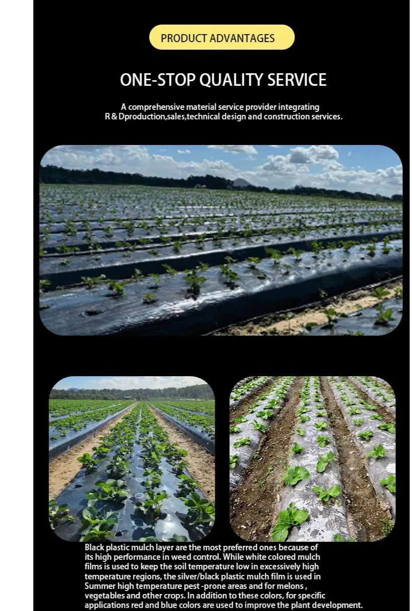 Mulch Film Application