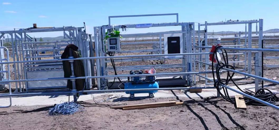 Sorting System Panel Yard