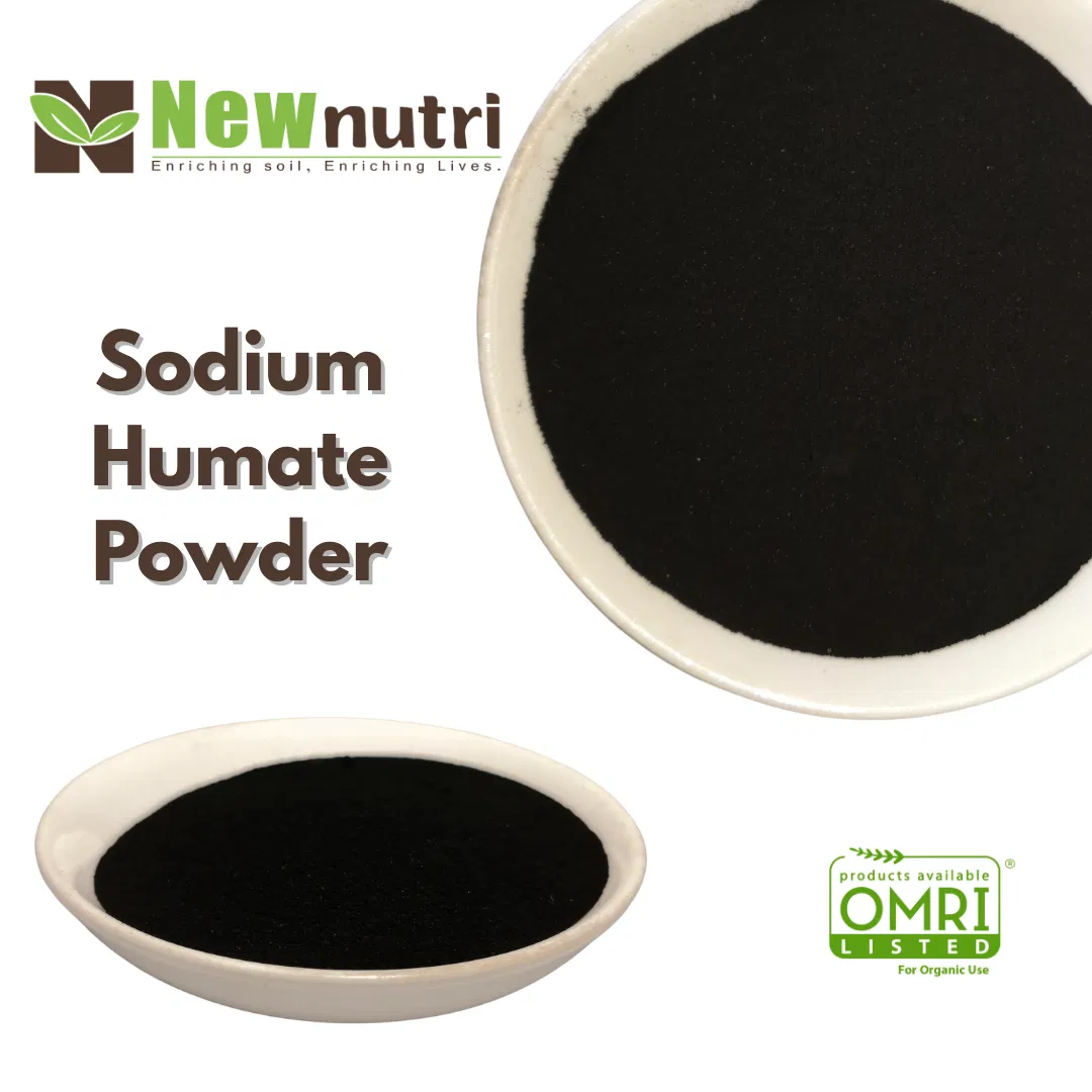 Natural Sodium Humate Bio Organic Fertilizer for Livestock and Poultry Feeding Solutions