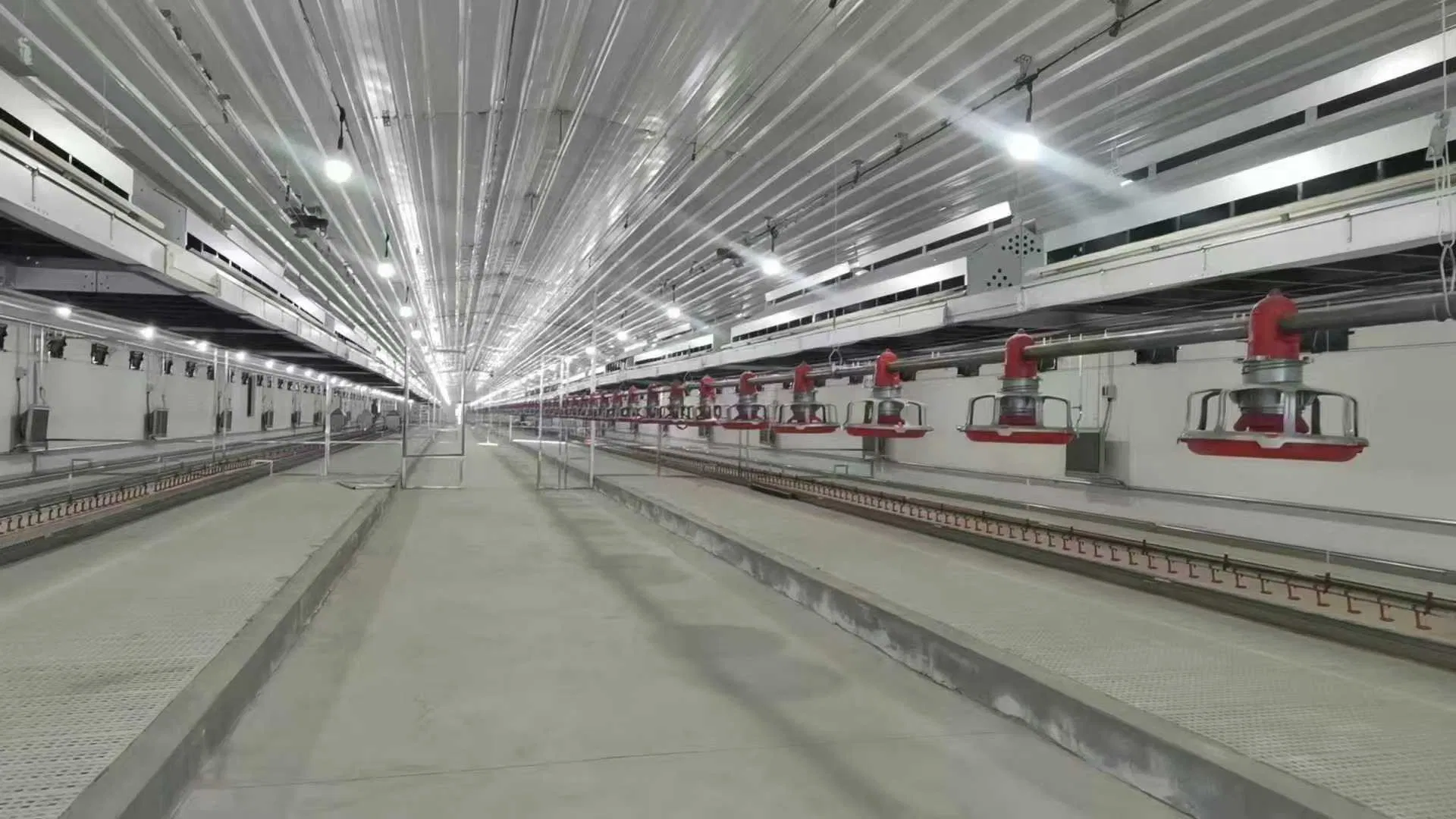 Poultry Farm Equipment: Reliable Breeder Falt Raising System for Layers