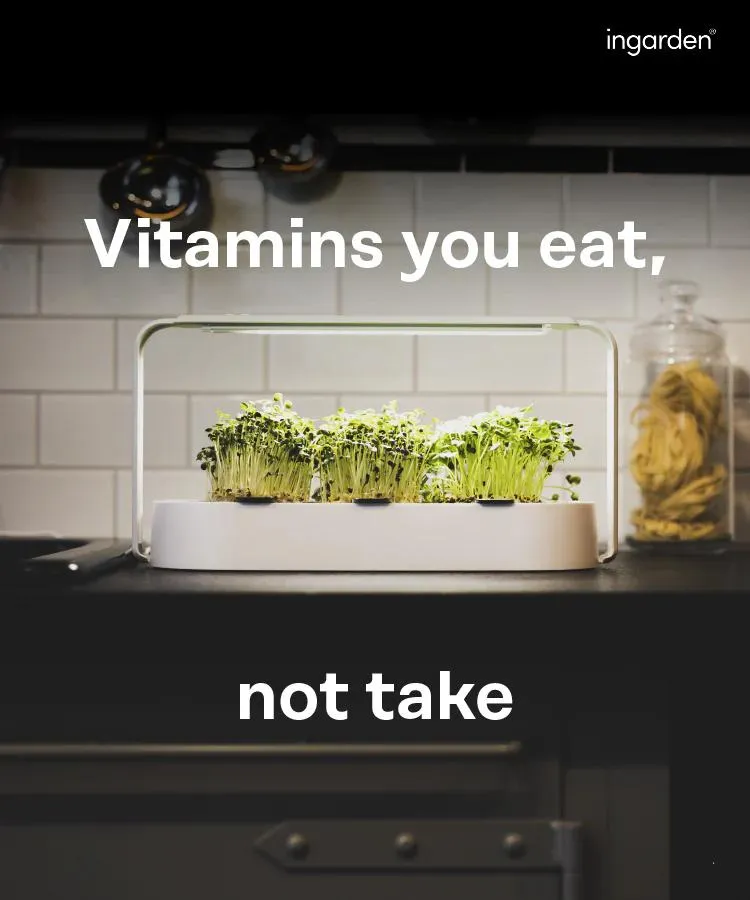 Hydroponics System 2