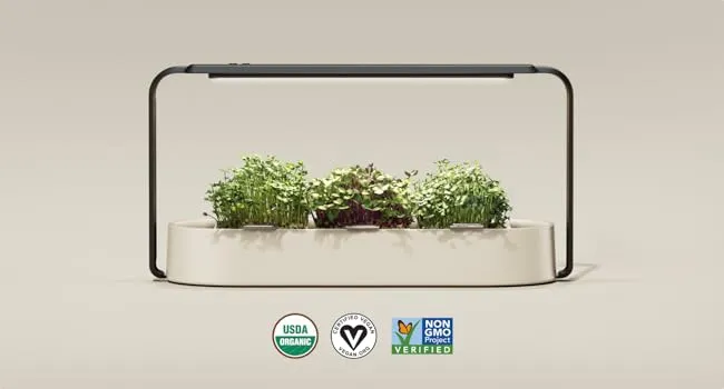 Microgreens Varieties