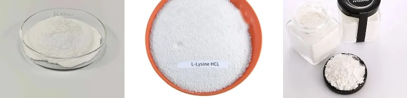 Lysine Detail
