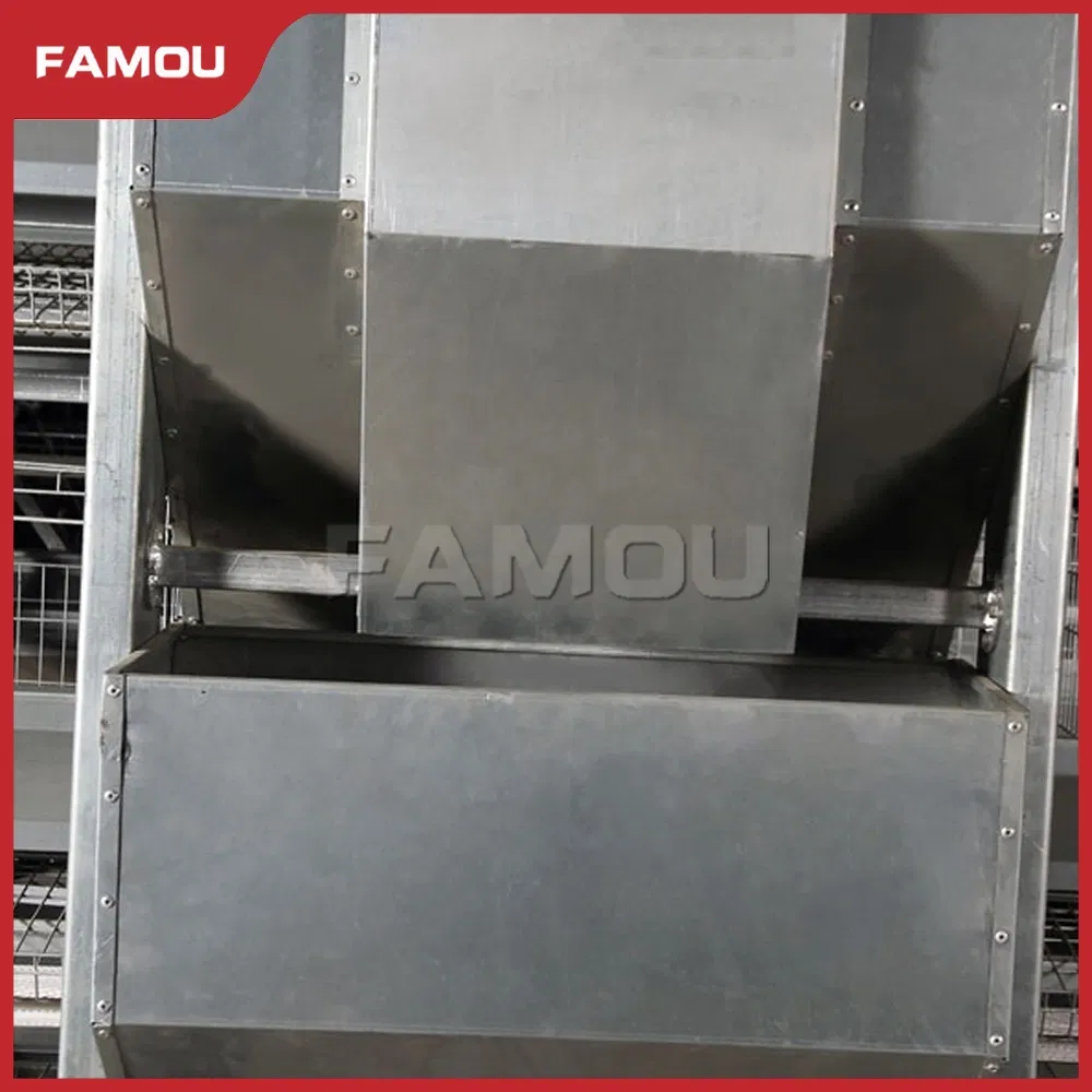 Adjustable H-Type Poultry Auger Feeding System for Efficient Livestock Nutrition