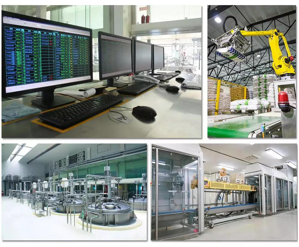 Top GMO-Free Isolated Soy Protein Powder Source Factory Large Quantity Quality Products High Stability for Food Processing Raw Materials FDA Certified