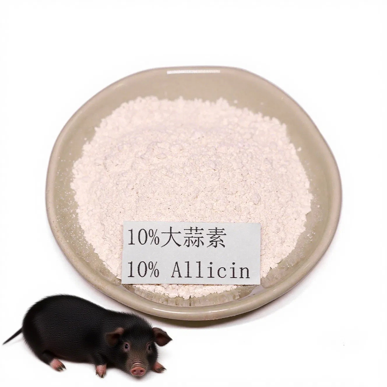 Pigs Use Allicin to Promote Digestion, Resist Viruses, and Enhance The Immune System of Fattening Piglets