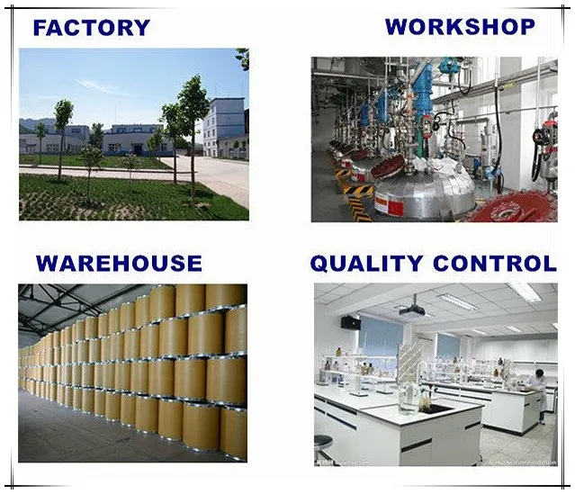 Production Facility