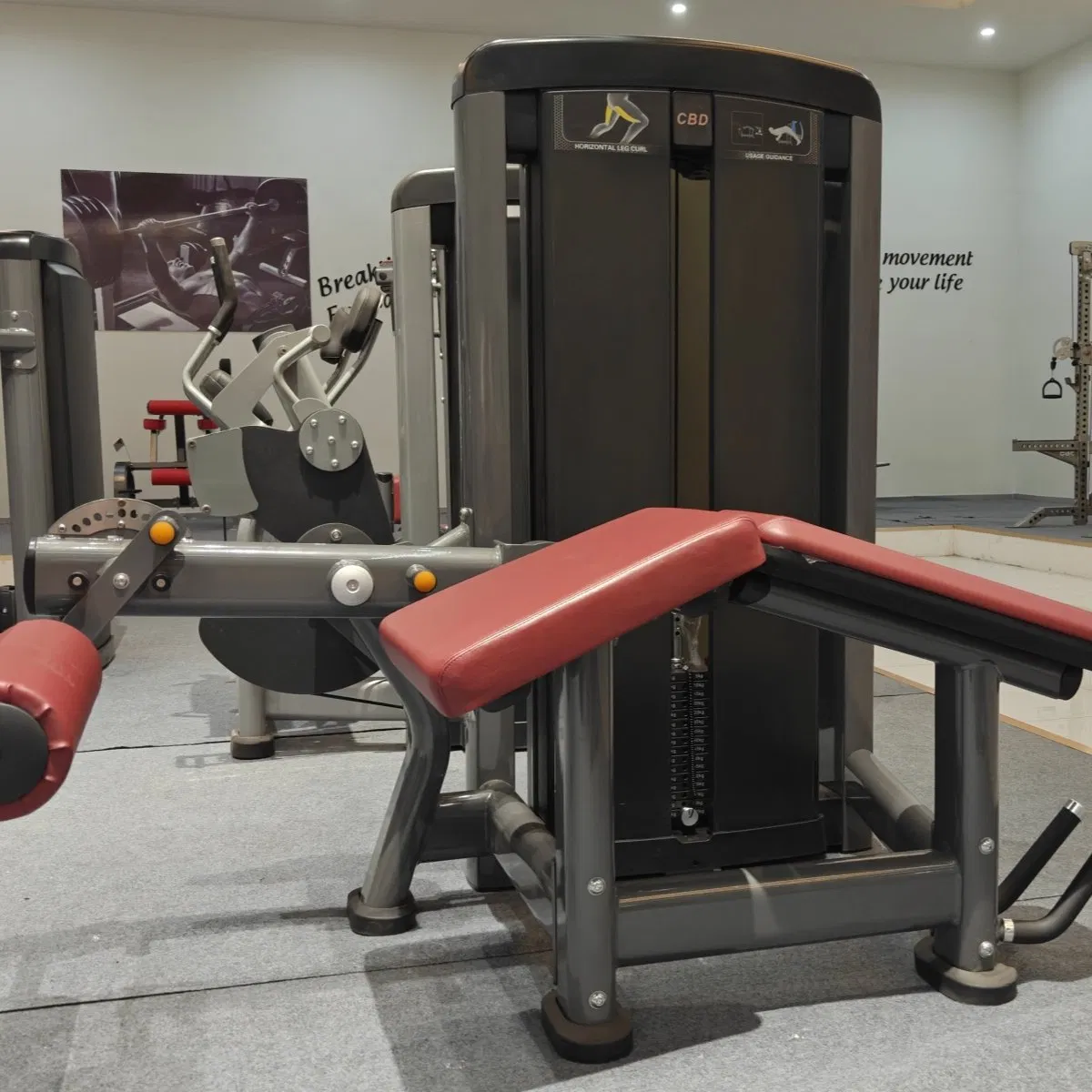 Heavy Duty Gym Fitness Equipment with Leg Curl Leg Extension Sports Machines