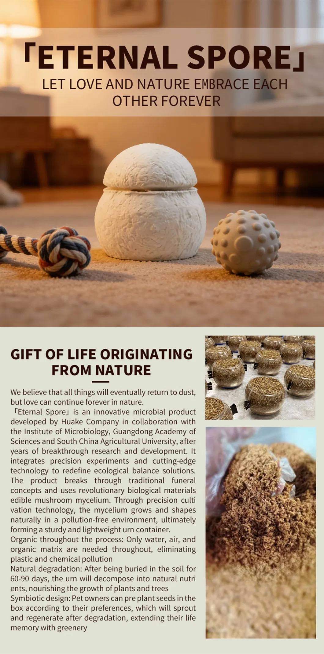 Sustainable Pet Cremation Box Display 1