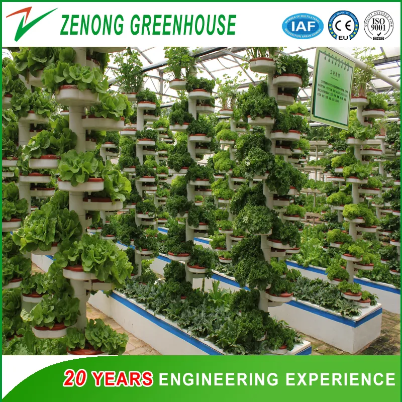 Hydroponics System 6