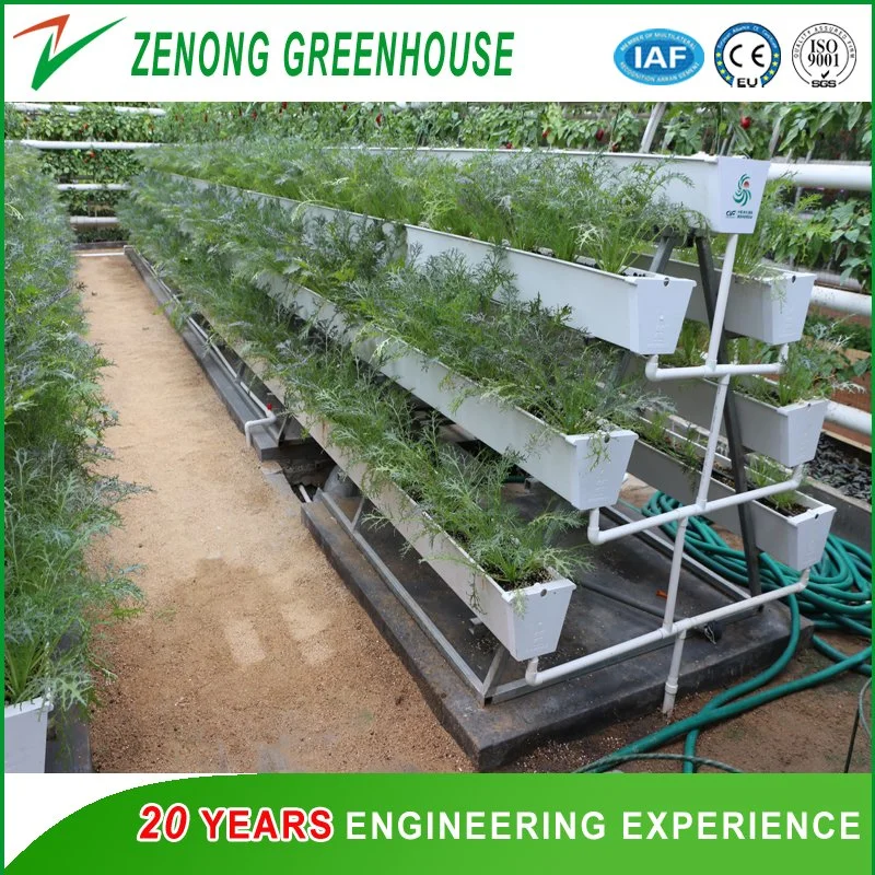 Greenhouse Hydroponics/a-Frame Structure Hydroponic Systems for Leafy Vegetables