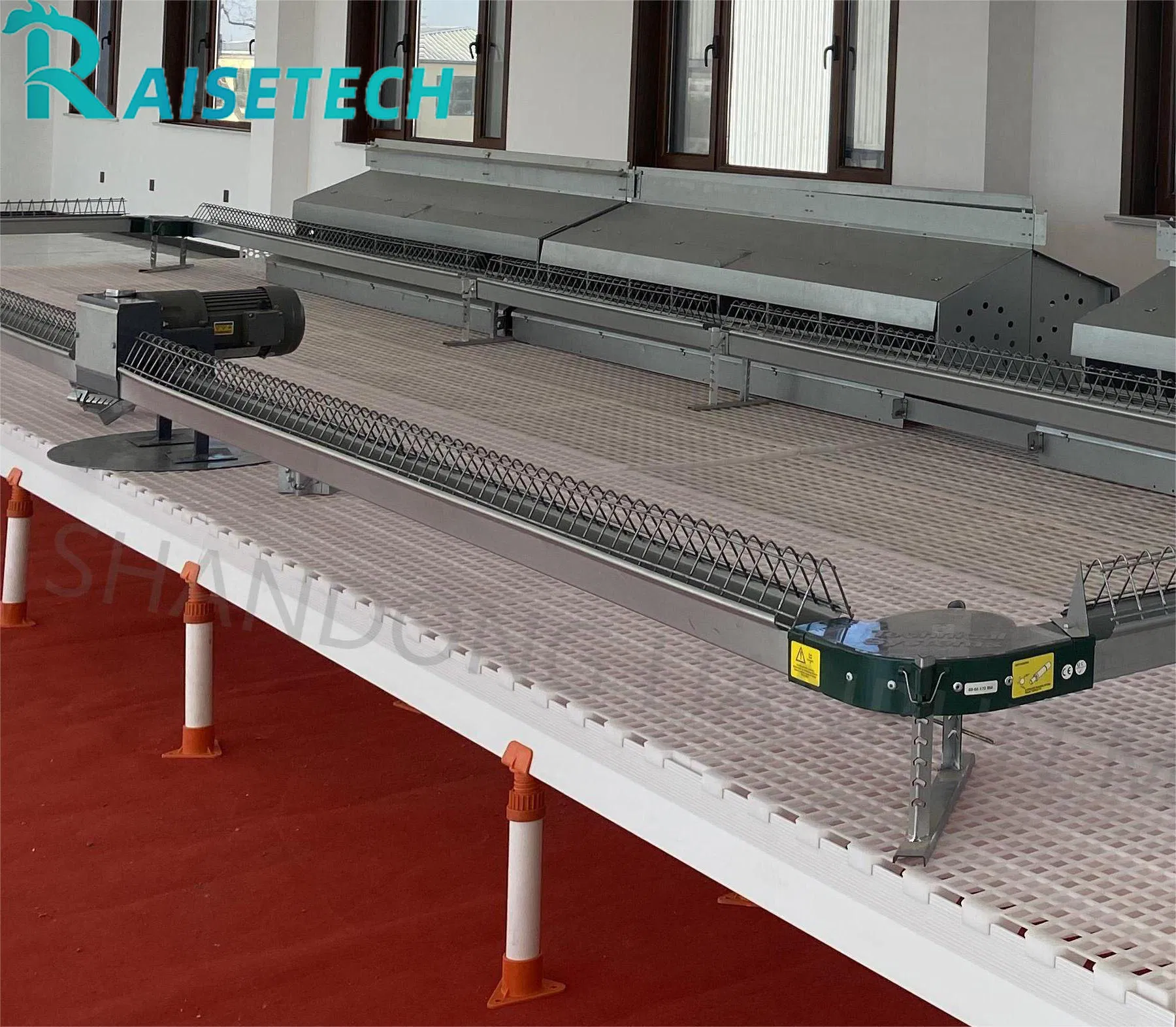 Chain Feeding System for Chickens - ISO 45001 Certified, 24 Months