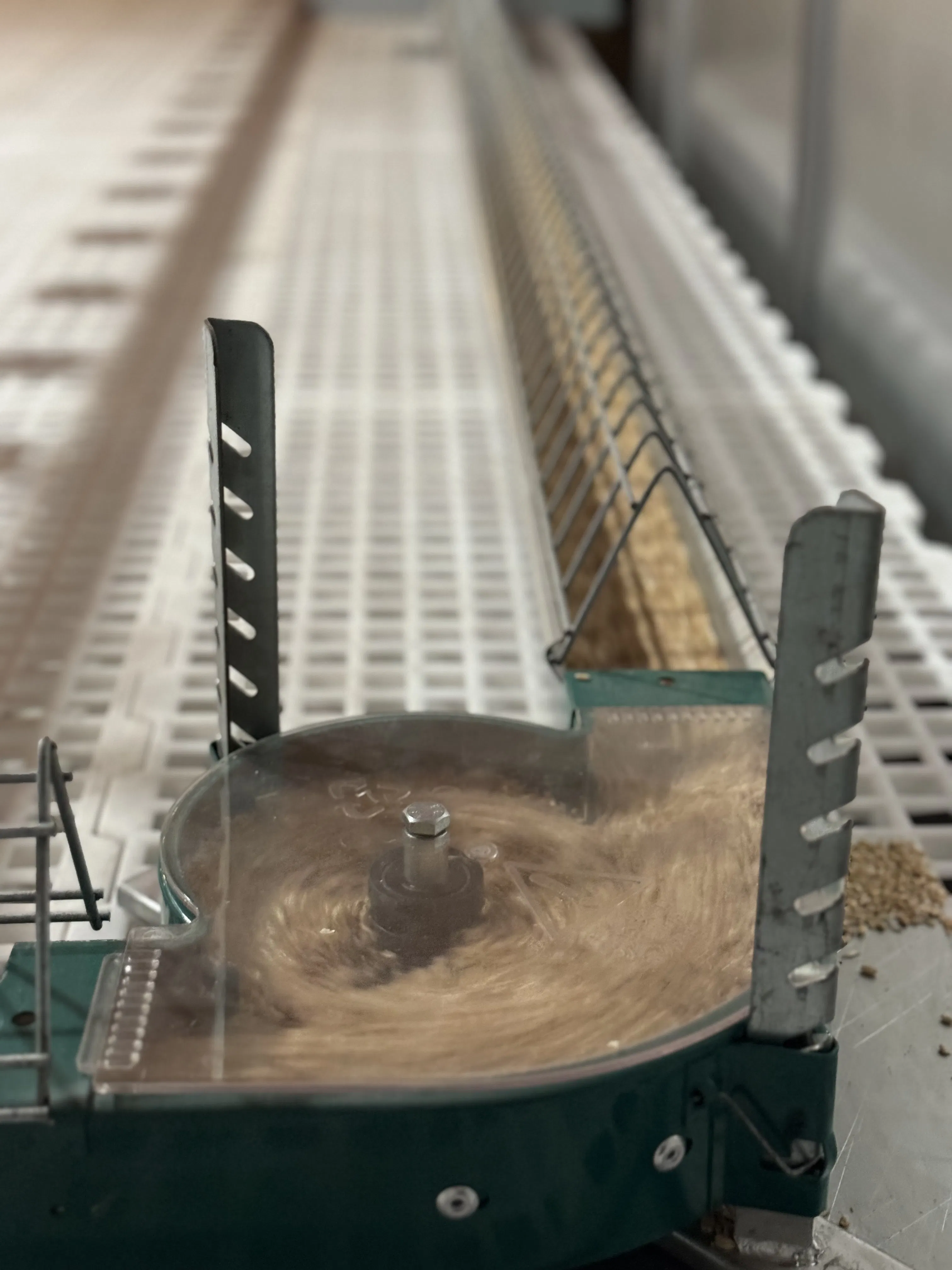 Poultry Equipment: Breeder Falt Raising System for Chicken and Layer Use