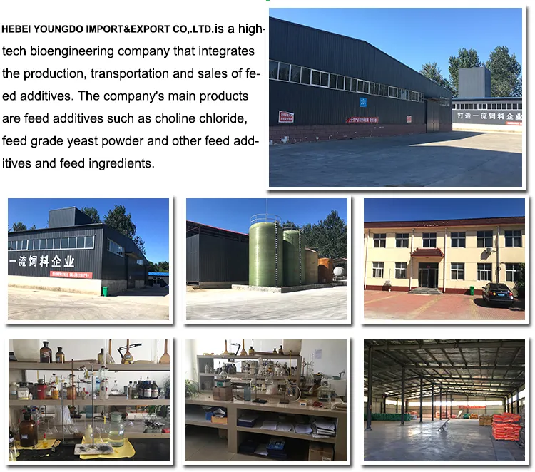 Production Advantages