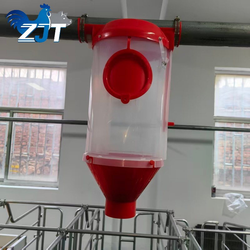 High-Quality Pig Feeding System with Quantitative Cups for Pig Farms