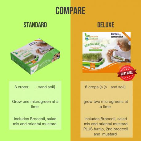 Standard Microgreens Growing System for Home Gardening