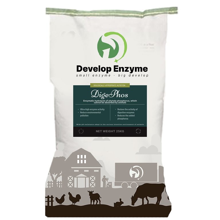 Price Water-Soluble Feed Phytase Enhance Nutrient Absorption and Animal Growth