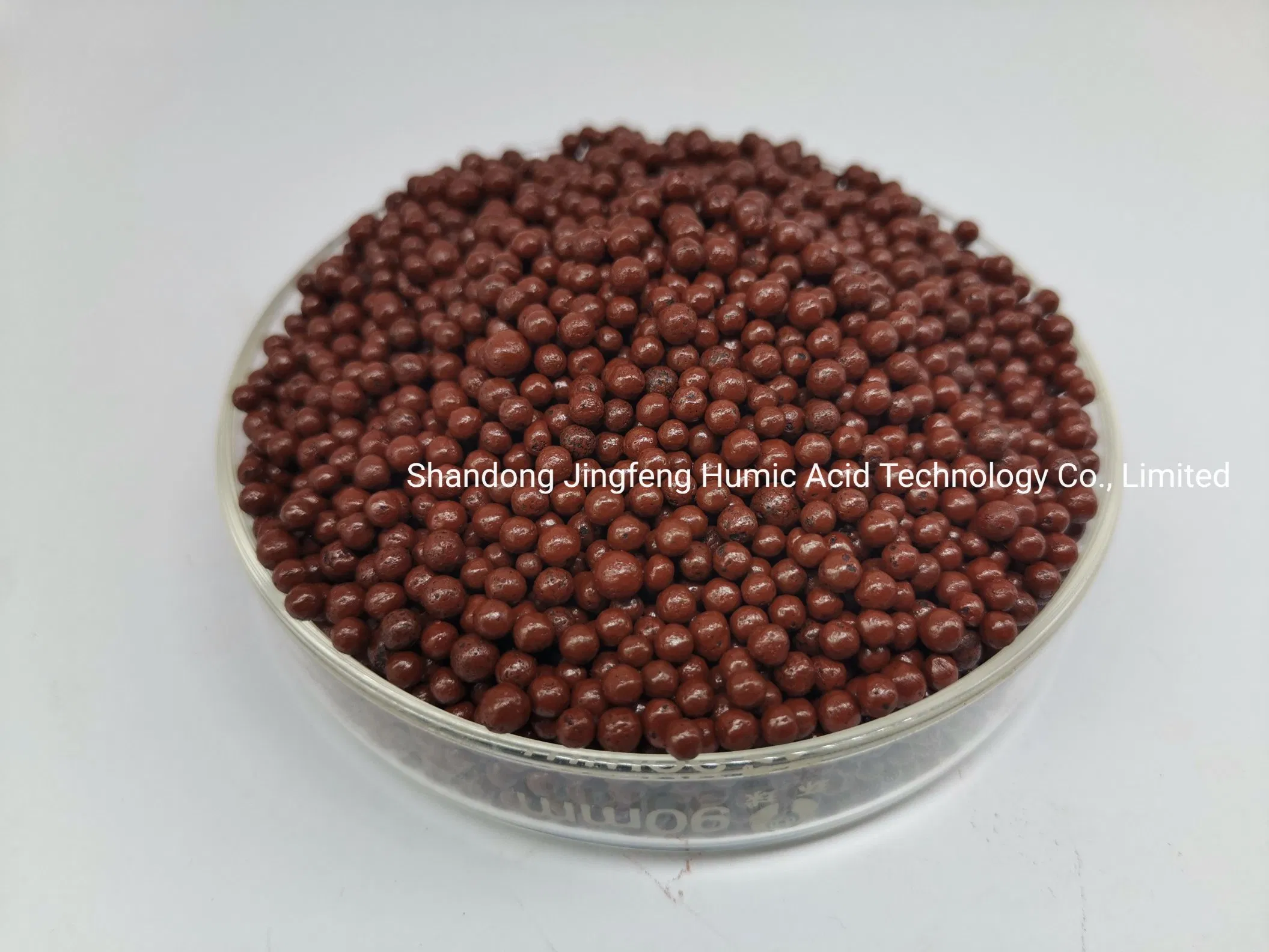 Granules Compound Organic Phosphate NPK DAP Humic Amino Lysine Fertilizer Granule
