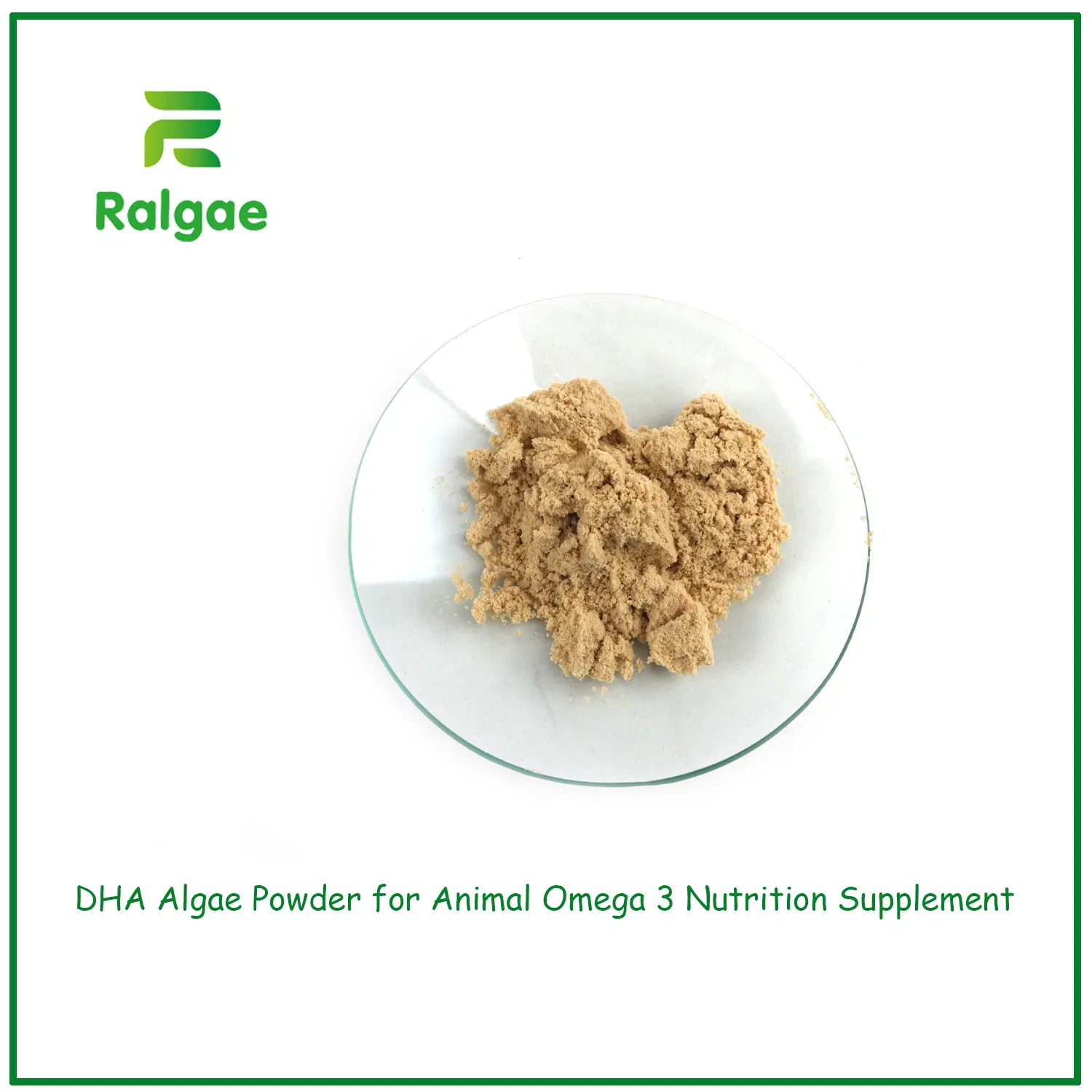 DHA Algae Powder Increase Aquaculture Growing Health and Meat Omega 3 Nutrition CAS6217-54-5