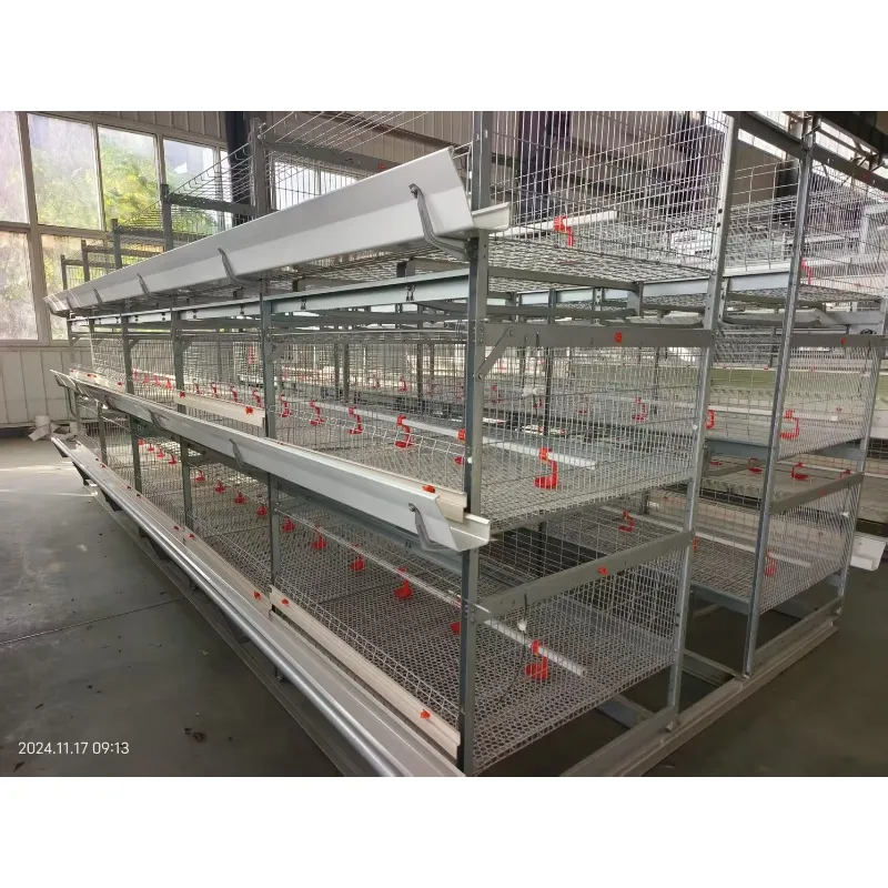 Automatic Feeding System Gallery