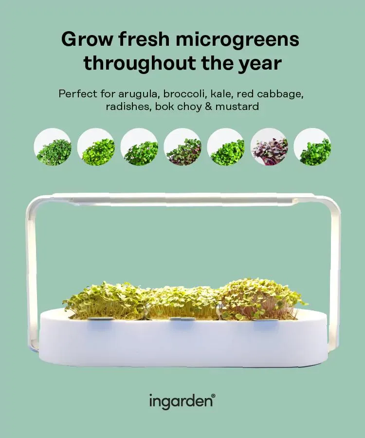 LED Grow Lights Hydroponics