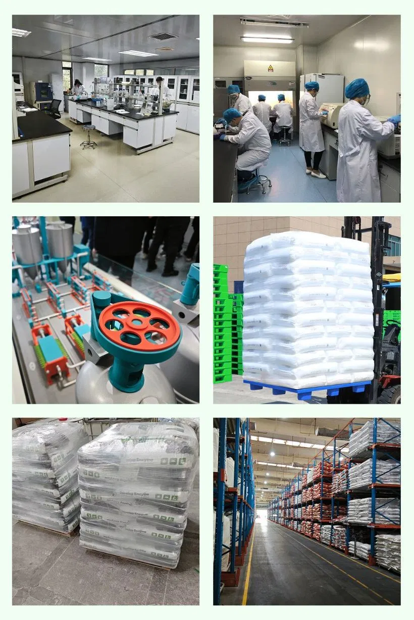 Feed Grade Neutral Protease Enzyme Improve Protein Utilization and Animal Growth