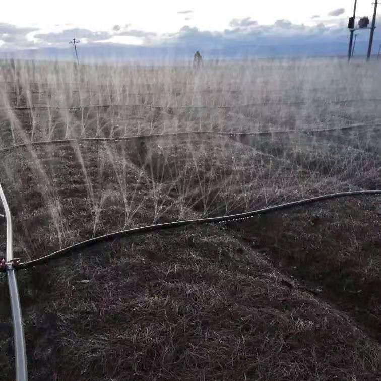 Premium Quality Standard Drip Tape for Sustainable Agriculture Practices