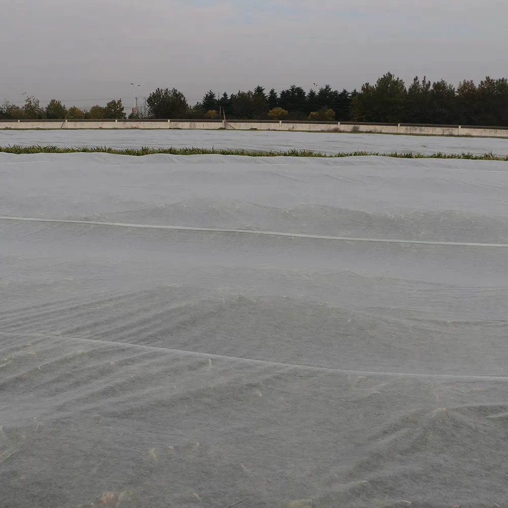Premium Spunbond Nonwoven Fabric for Sustainable Agriculture Solutions