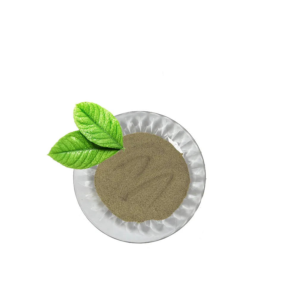 Mycoprotein 65% for Sustainable Ruminant Feed Solutions