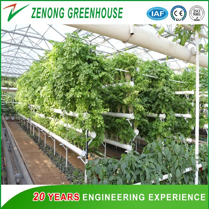 Greenhouse Hydroponics/a-Frame Structure Hydroponic Systems for Leafy Vegetables