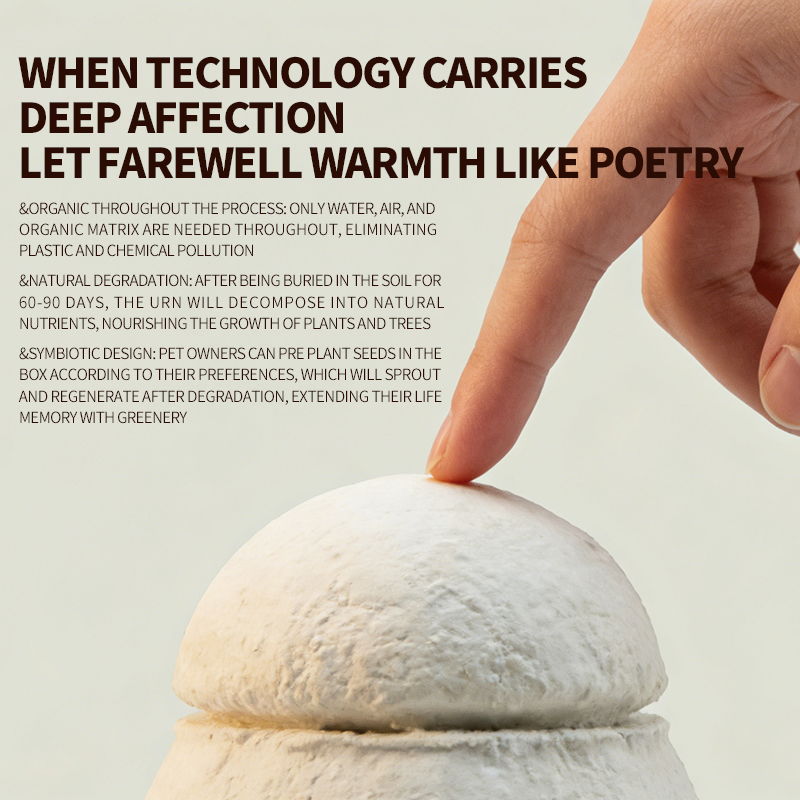 Sustainable Pet Cremation Box: Biodegradable Mycelium Craft, Organic and Seed-Inclusive - ODM Solutions for Trade
