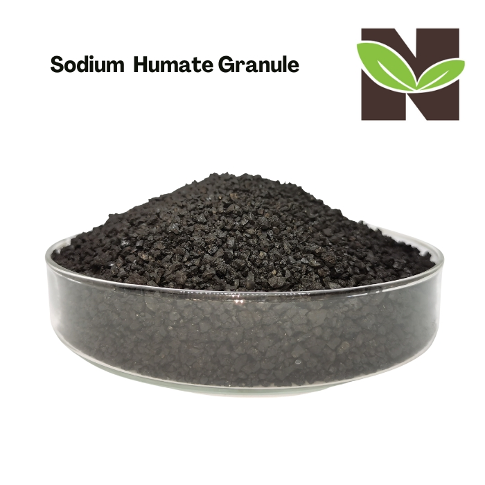 Organic Sodium Humate Fertilizer Granules for Sustainable Agriculture