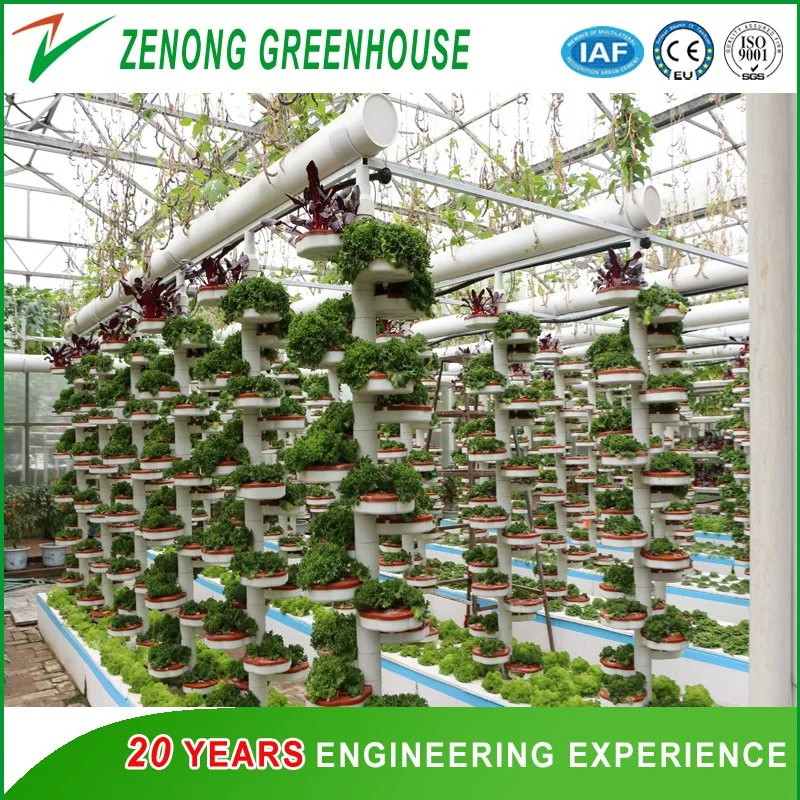 Bionic Spirally-Coiling Model Hydroponics System for Leafy Vegetables for Sale