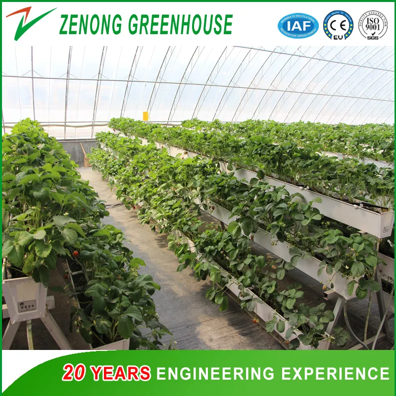 Hydroponic System View 2