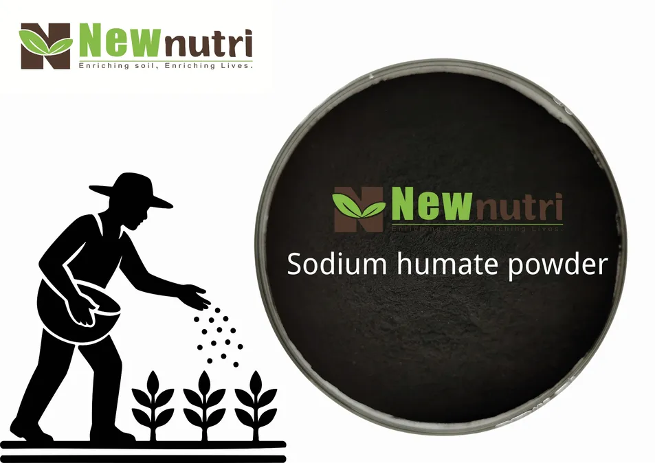 Sodium Humate Product Display 2