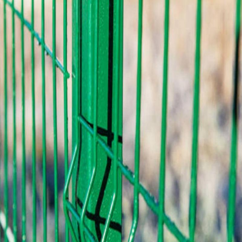 Innovative 3D Curved Mesh Panel for Sustainable Agriculture Solutions