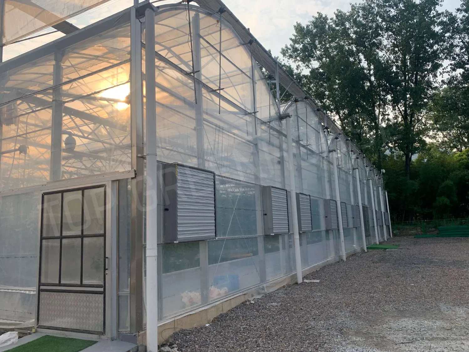 Film Greenhouse for Agricultural Yield Enhancement