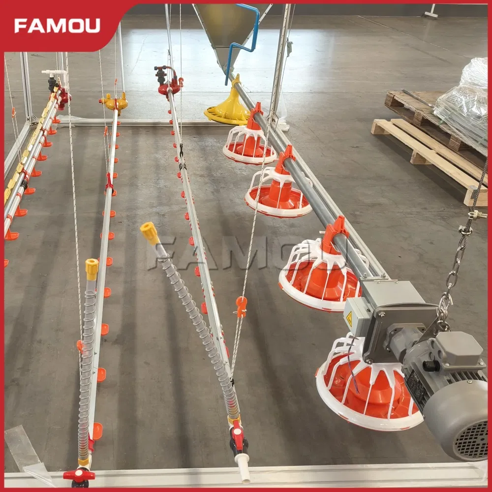 Floor Breeder System Equipment for Poultry Broiler Floor Raising and Growth Optimization