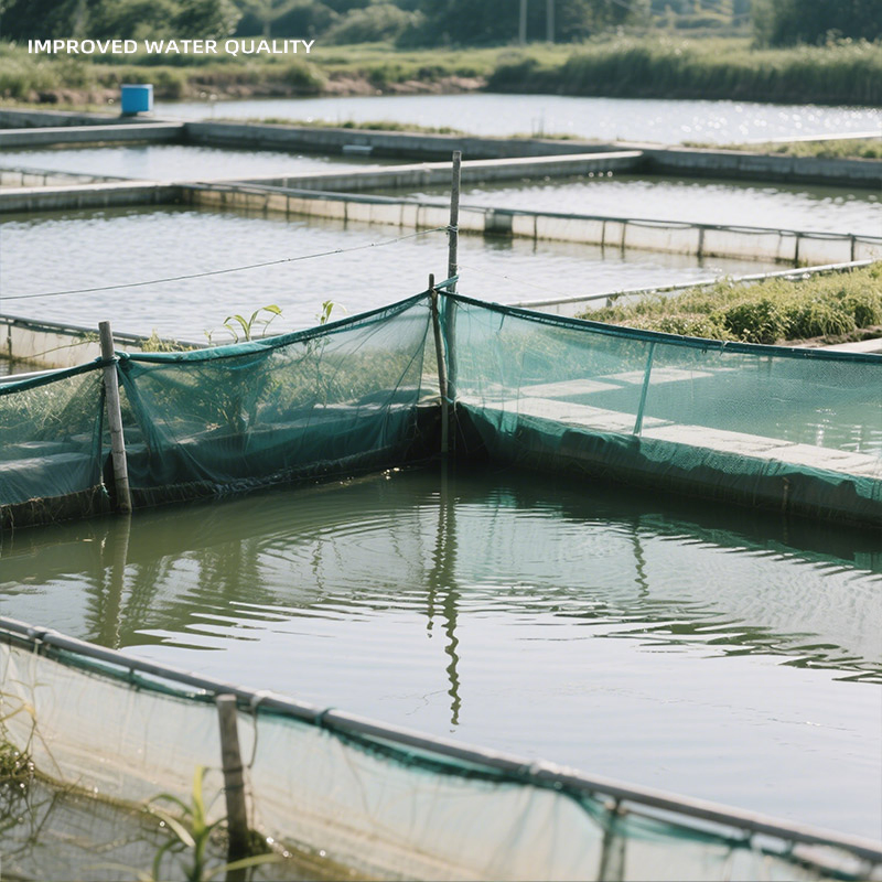 Microbial Balance Reliable Hujunqing Aquaculture Environment Optimization Aquatic Feed Additives