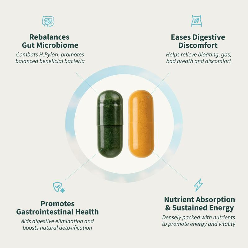 Gut Health Bundle Gut Health + Spirulina &amp; Chlorella - Natural Supplement Bundle Prebiotics PRO