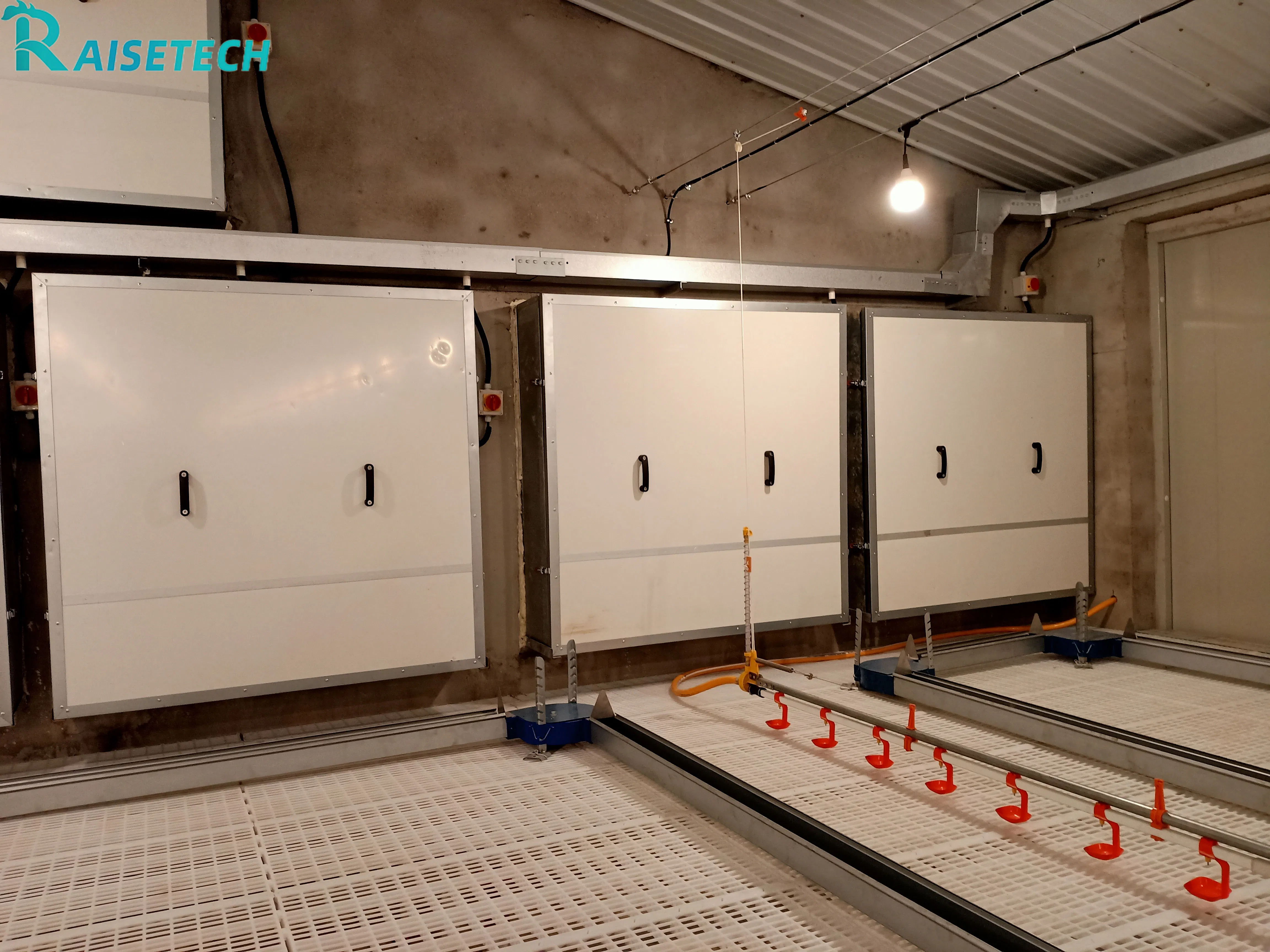 Chain Feeding System for Chickens - ISO 45001 Certified, 24 Months