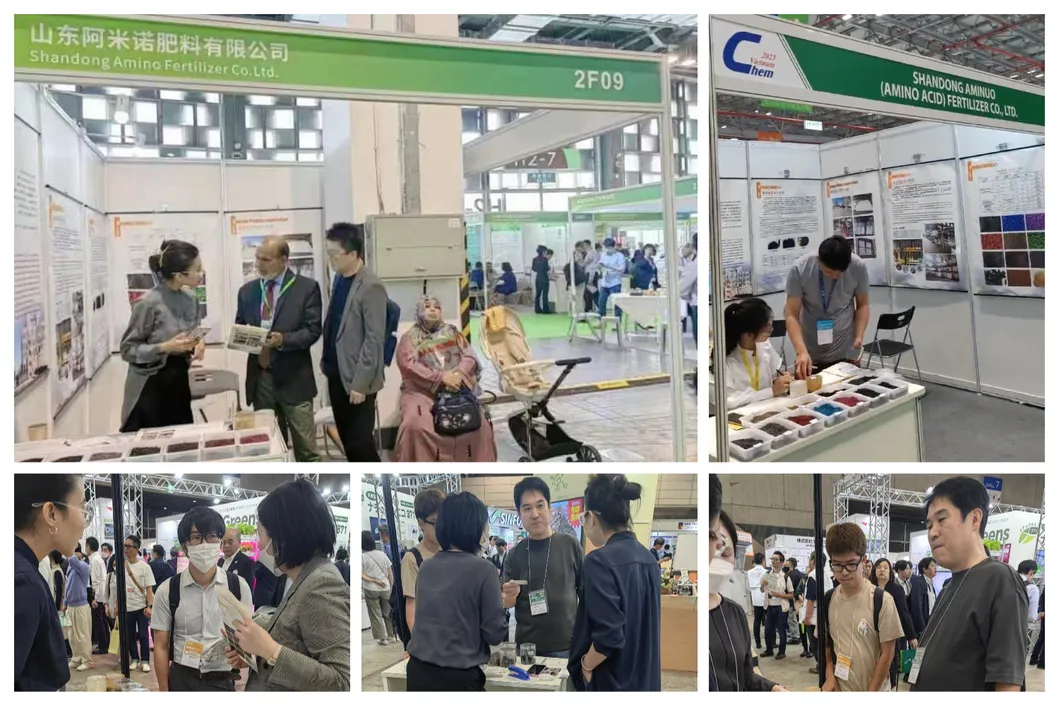 International Exhibitions