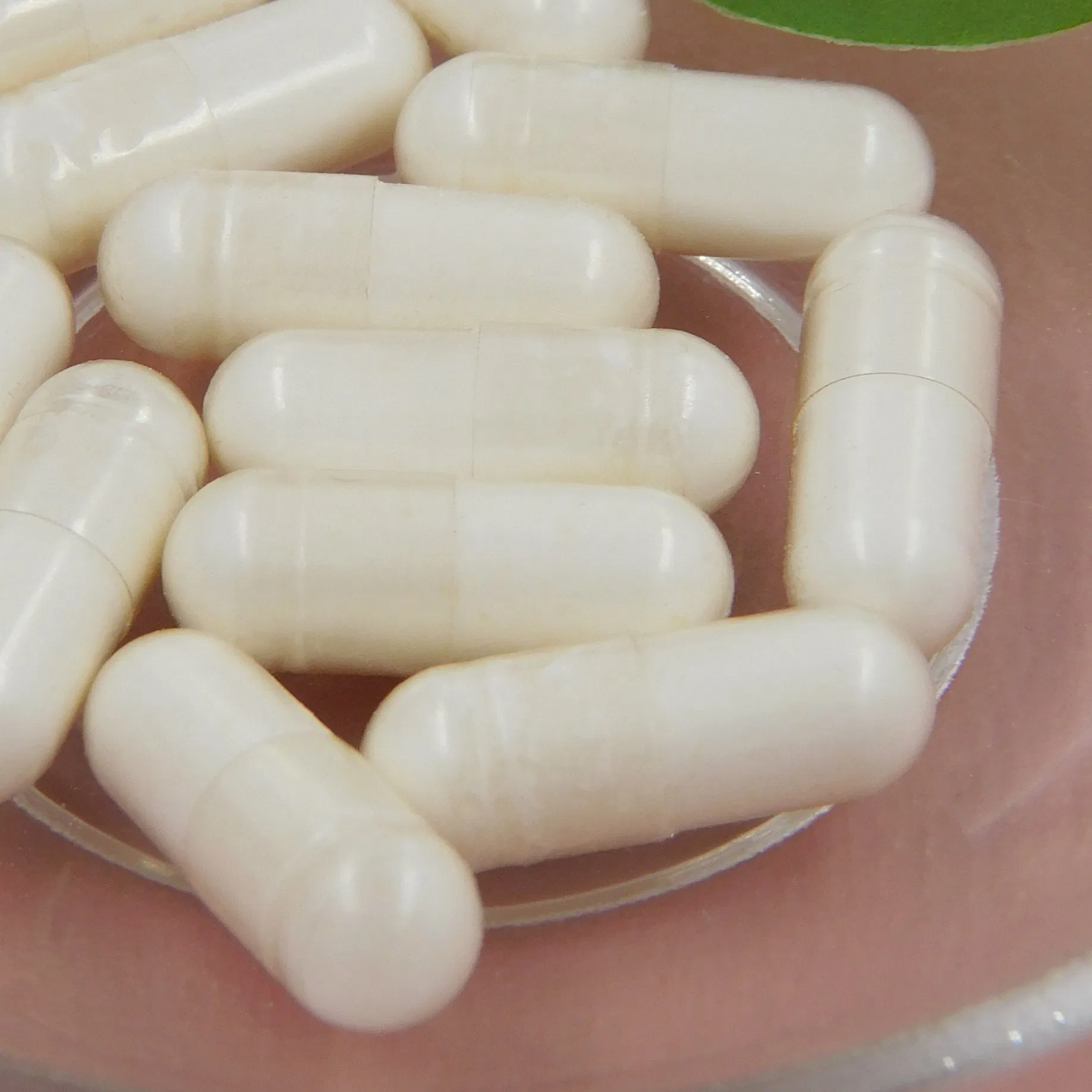 Moodlift Probiotic Gut Health Booster for Digestive Balance