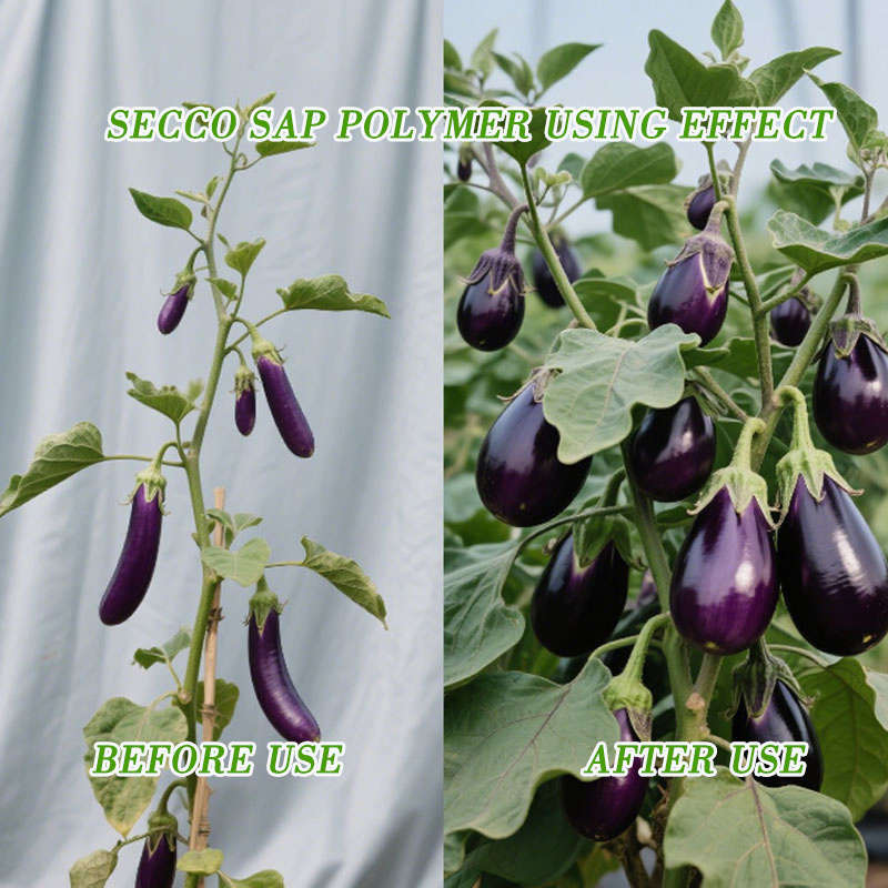 Eco Friendly Super Absorbent Polymer Sustainable Agriculture Potassium Polyacrylate