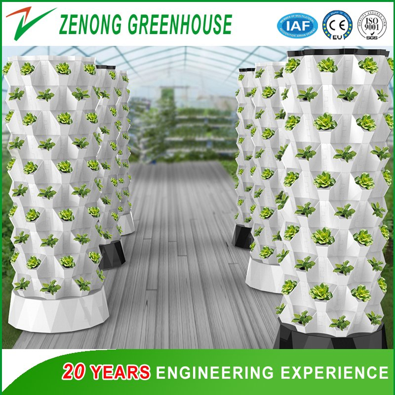 Pillar Hydroponics with Complete Irrigation System for Modern Agriculture