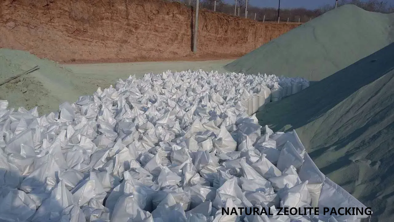 Zeolite Packaging Display