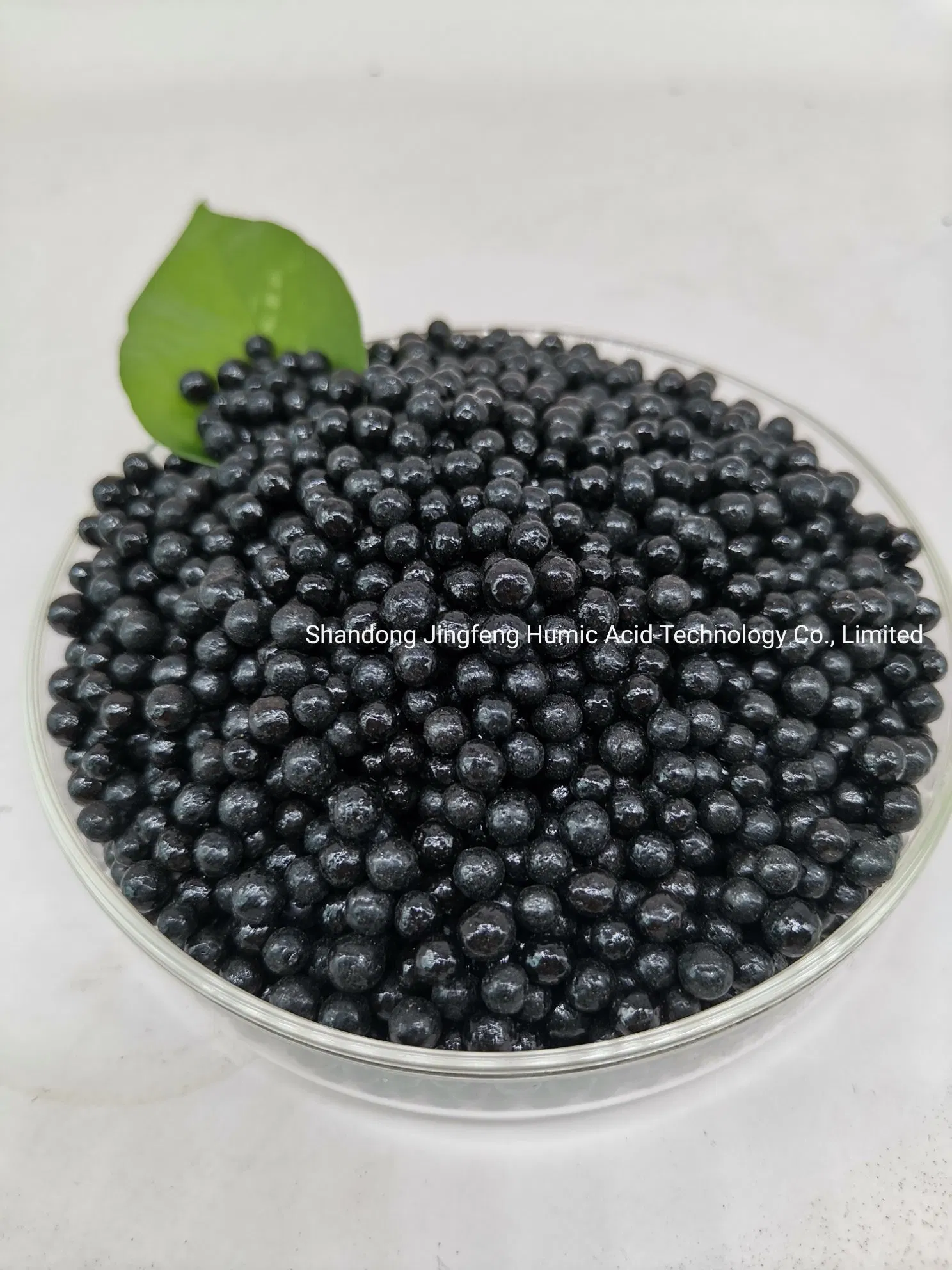 Soil Conditioner Price Humic Acid Granular Natural Fertilizer Amino Acid NPK Compound Fertilizer Agriculture Used Granules