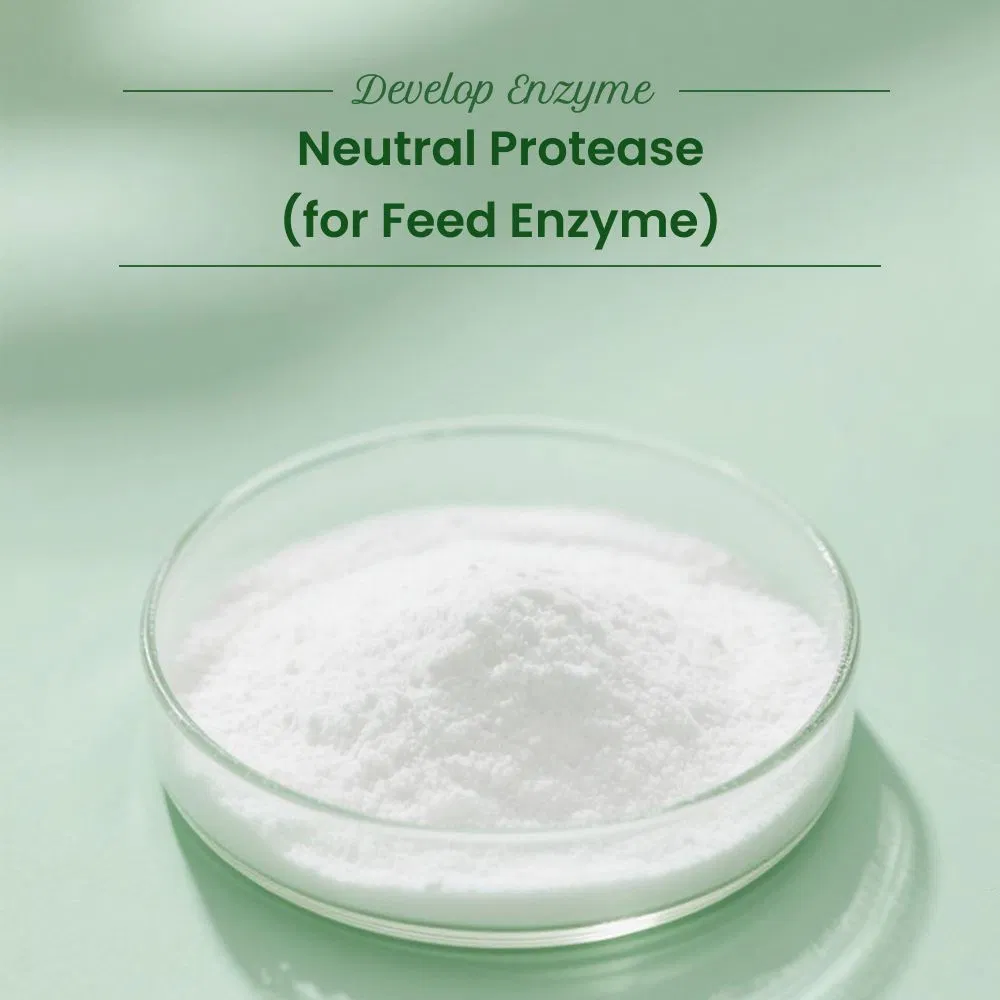 Halal Feed Grade Neutral Protease Enzyme Improve Protein Utilization and Animal Growth